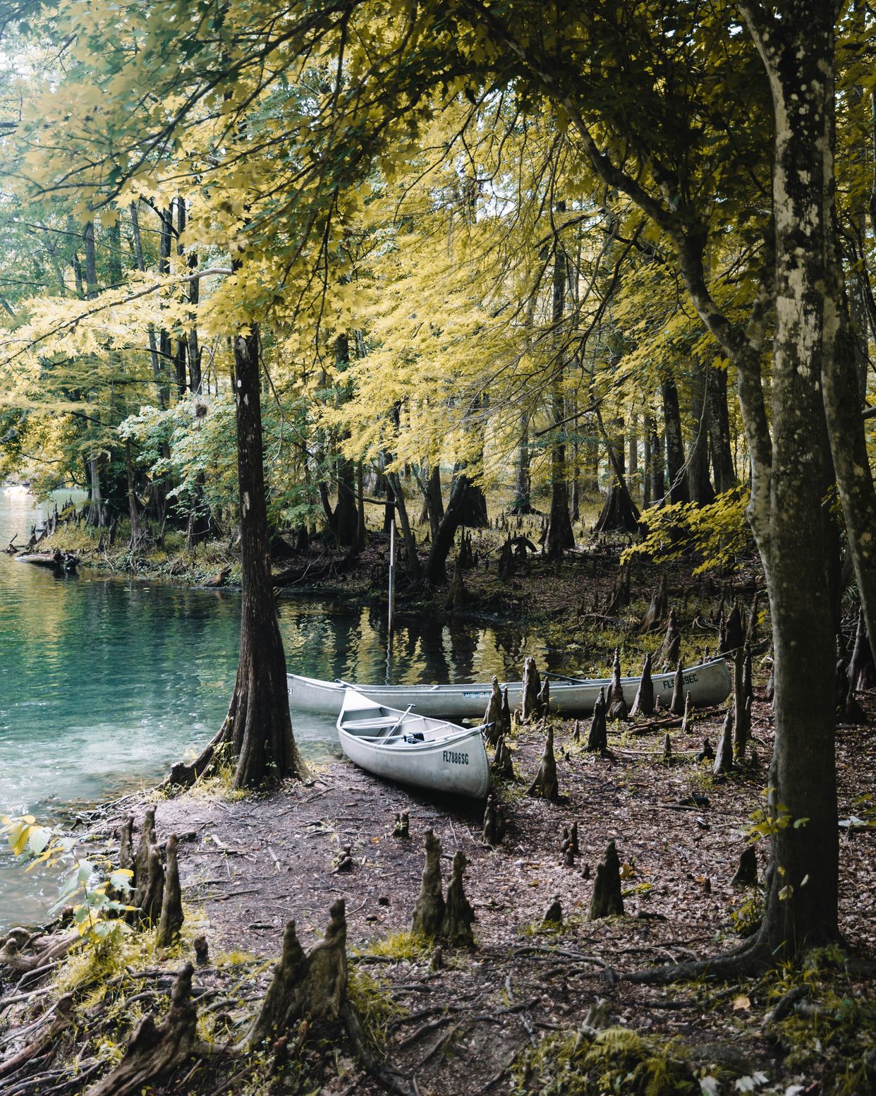 Ginnie Springs 
