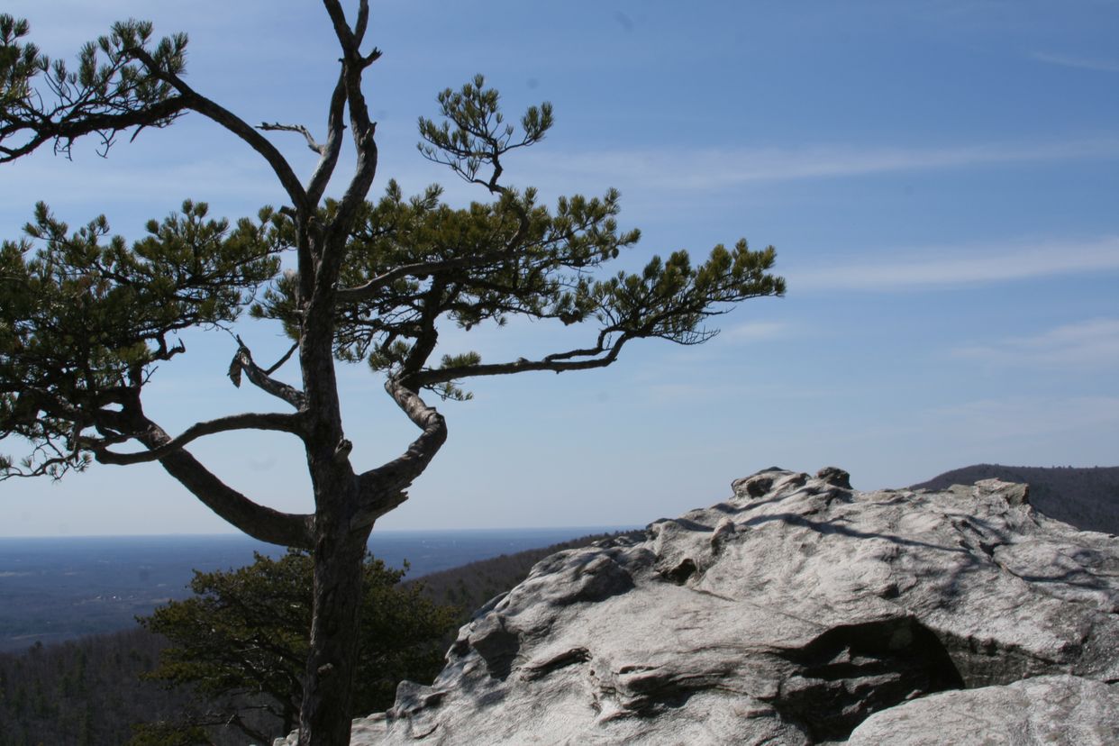 Hanging Rock