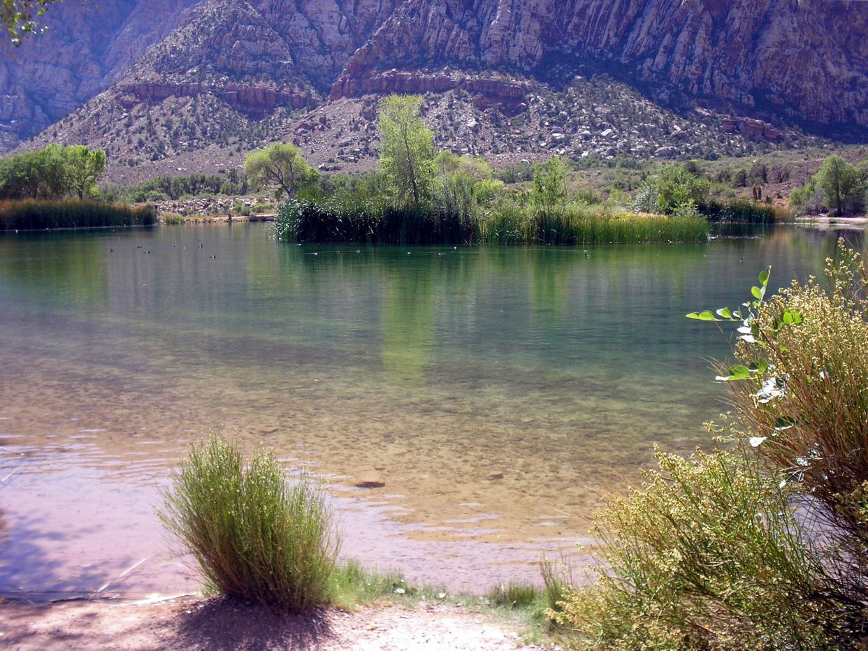 Spring Mountain Ranch Reservoir