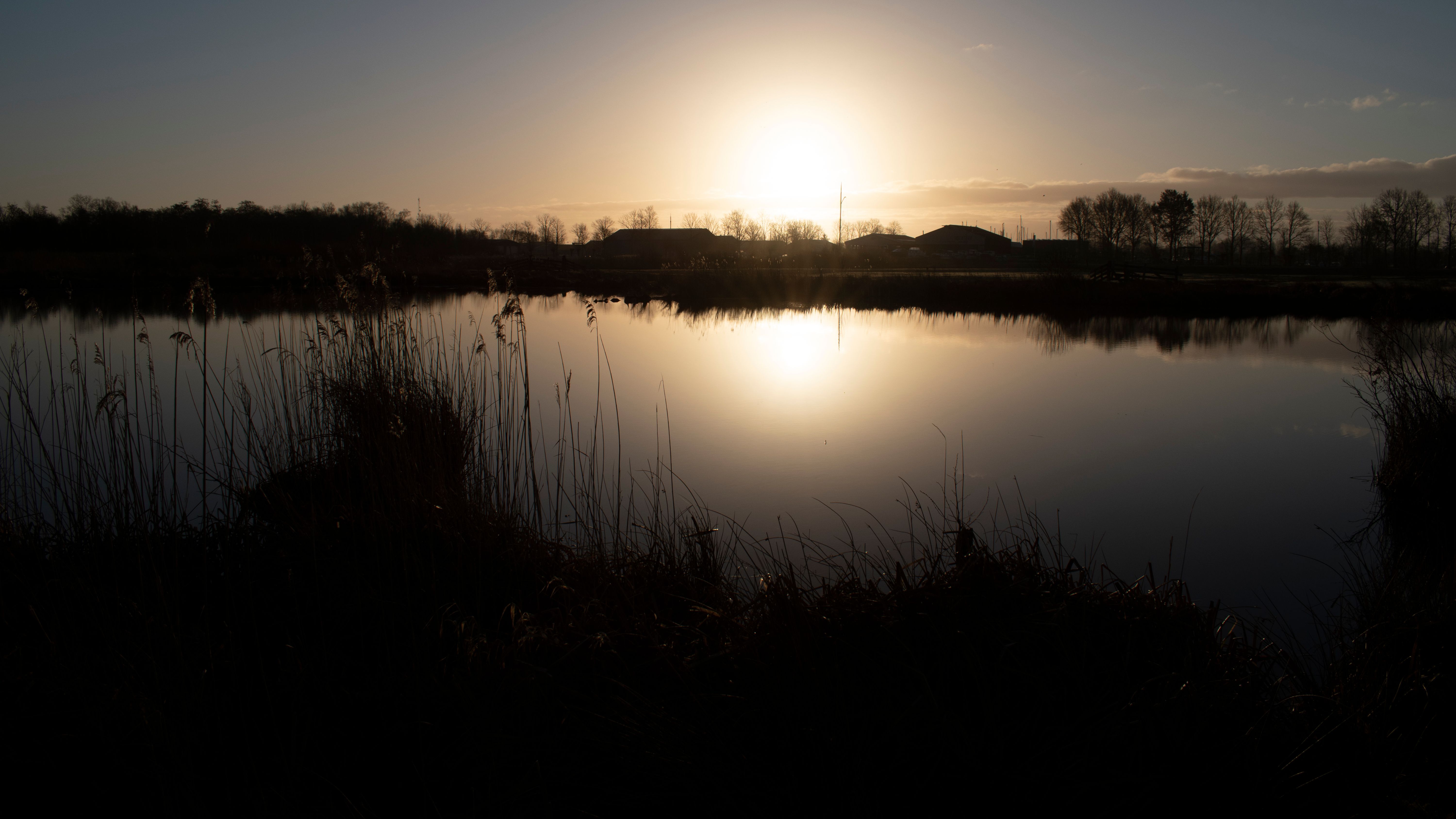 Nationaal Park De Alde Feanen — Photo by rarekwibus.nl