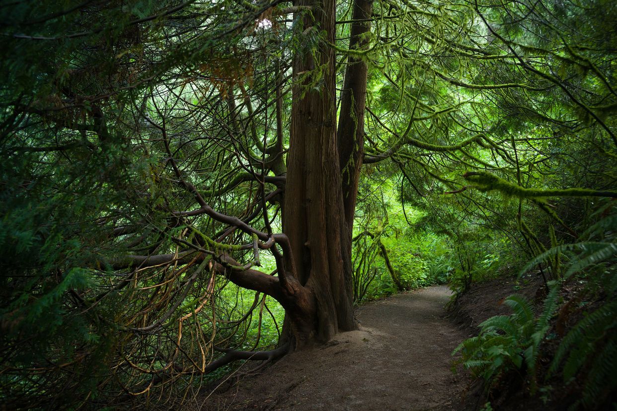 Hoyt Arboretum