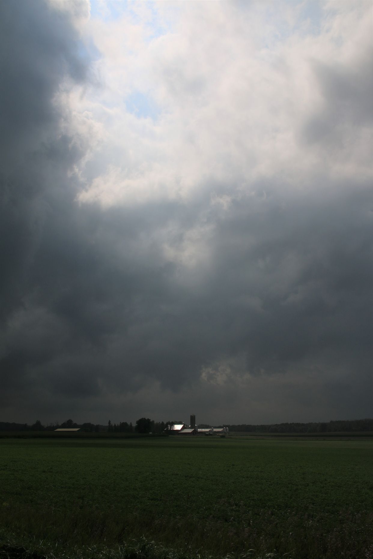 Wellesley Township Countryside