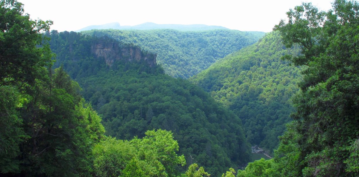 Russell Fork 