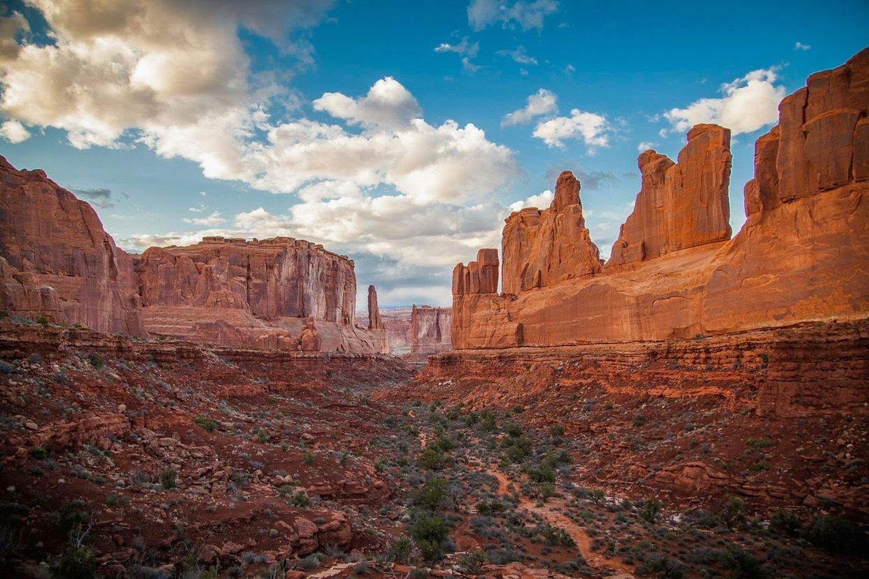 Park Avenue Viewpoint