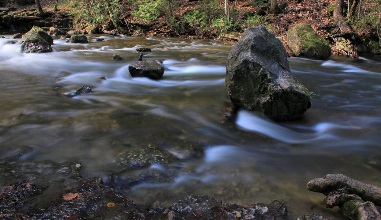 Rapids at Hogg's Falls