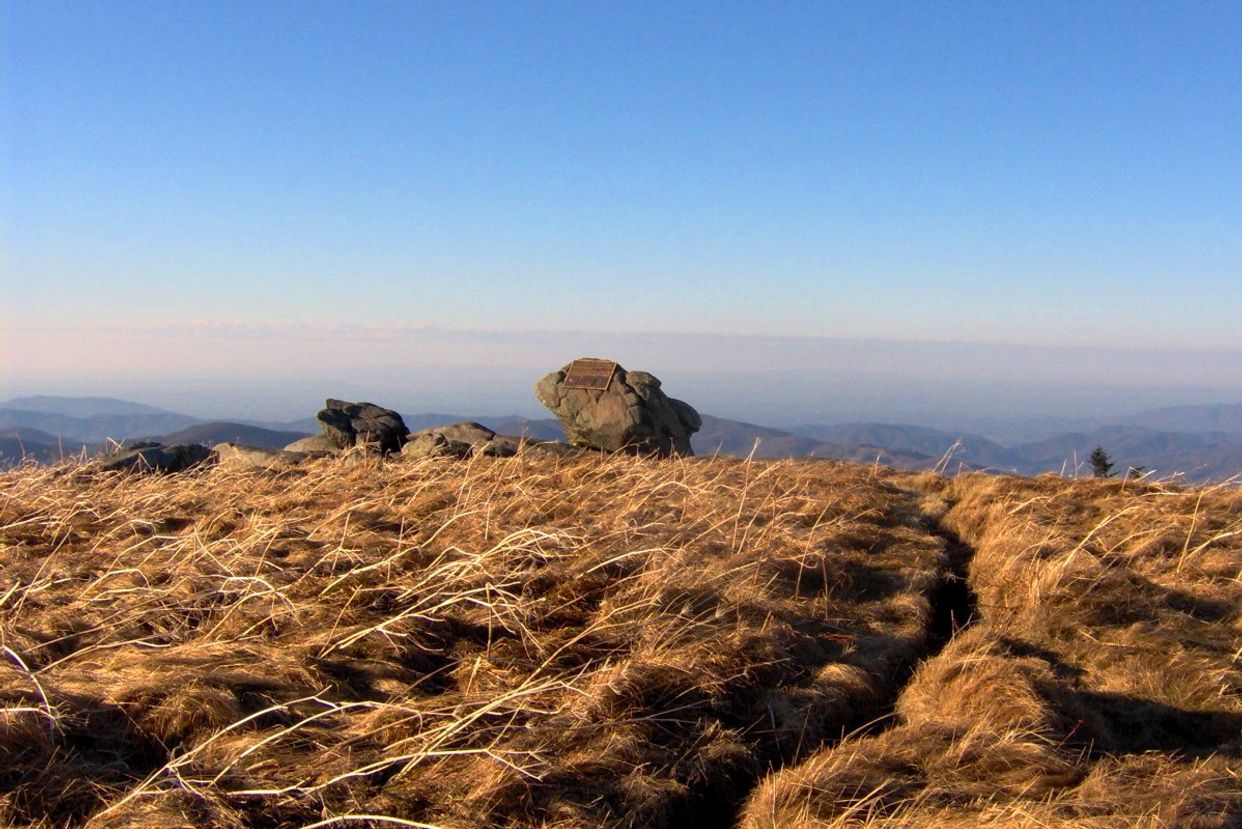 Grassy Ridge Bald