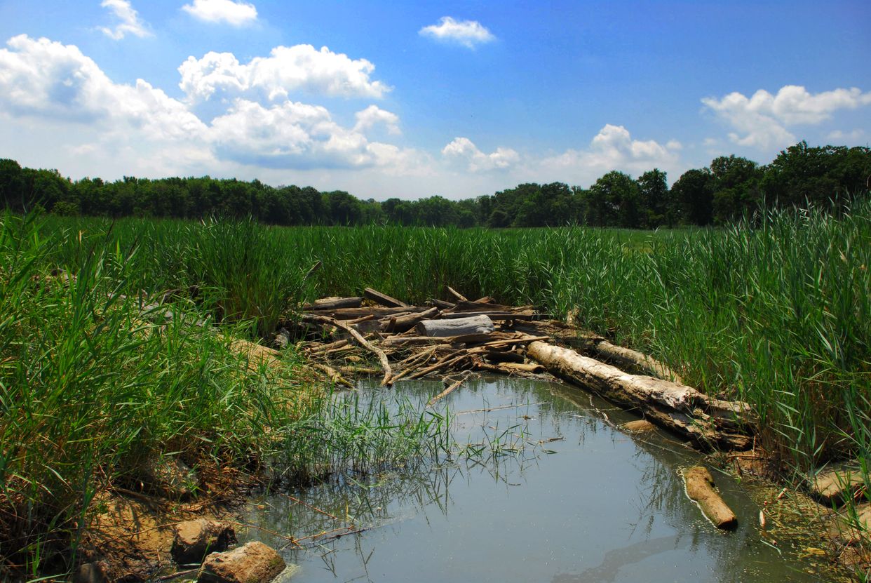Creeks End
