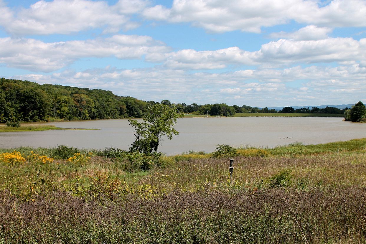 Briar Creek Lake