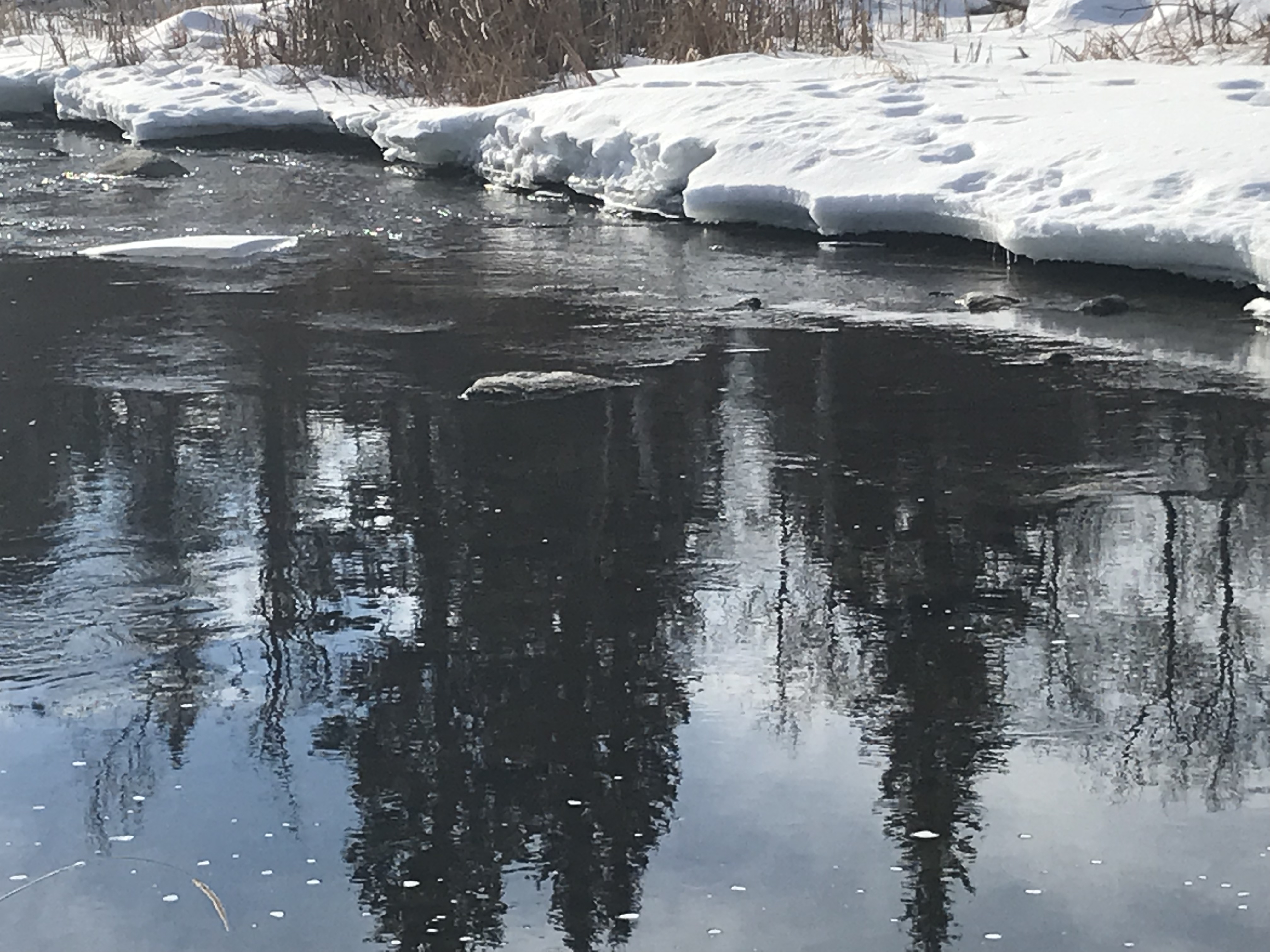 Creek View — Photo by ASkarsen