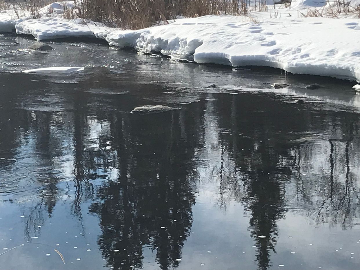 Creek View