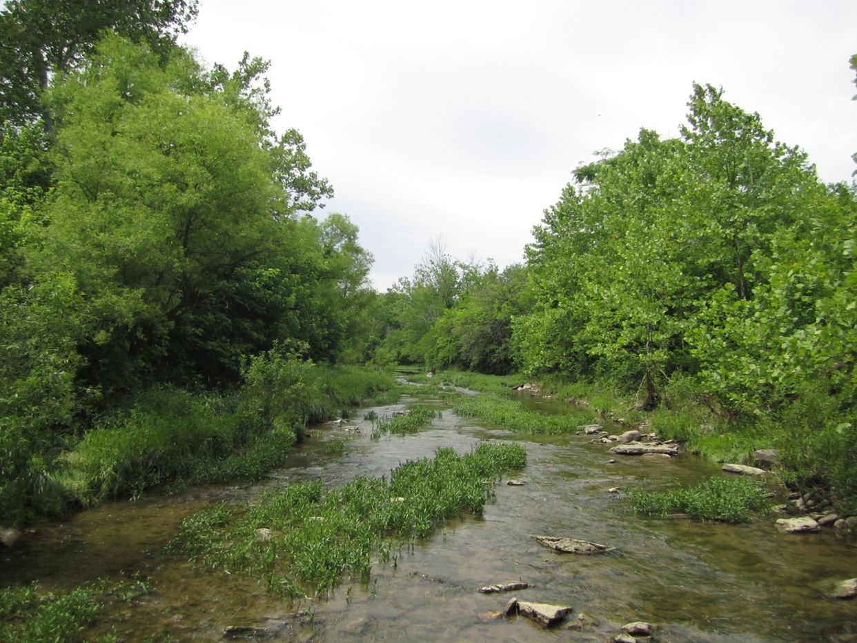 Gregory Creek