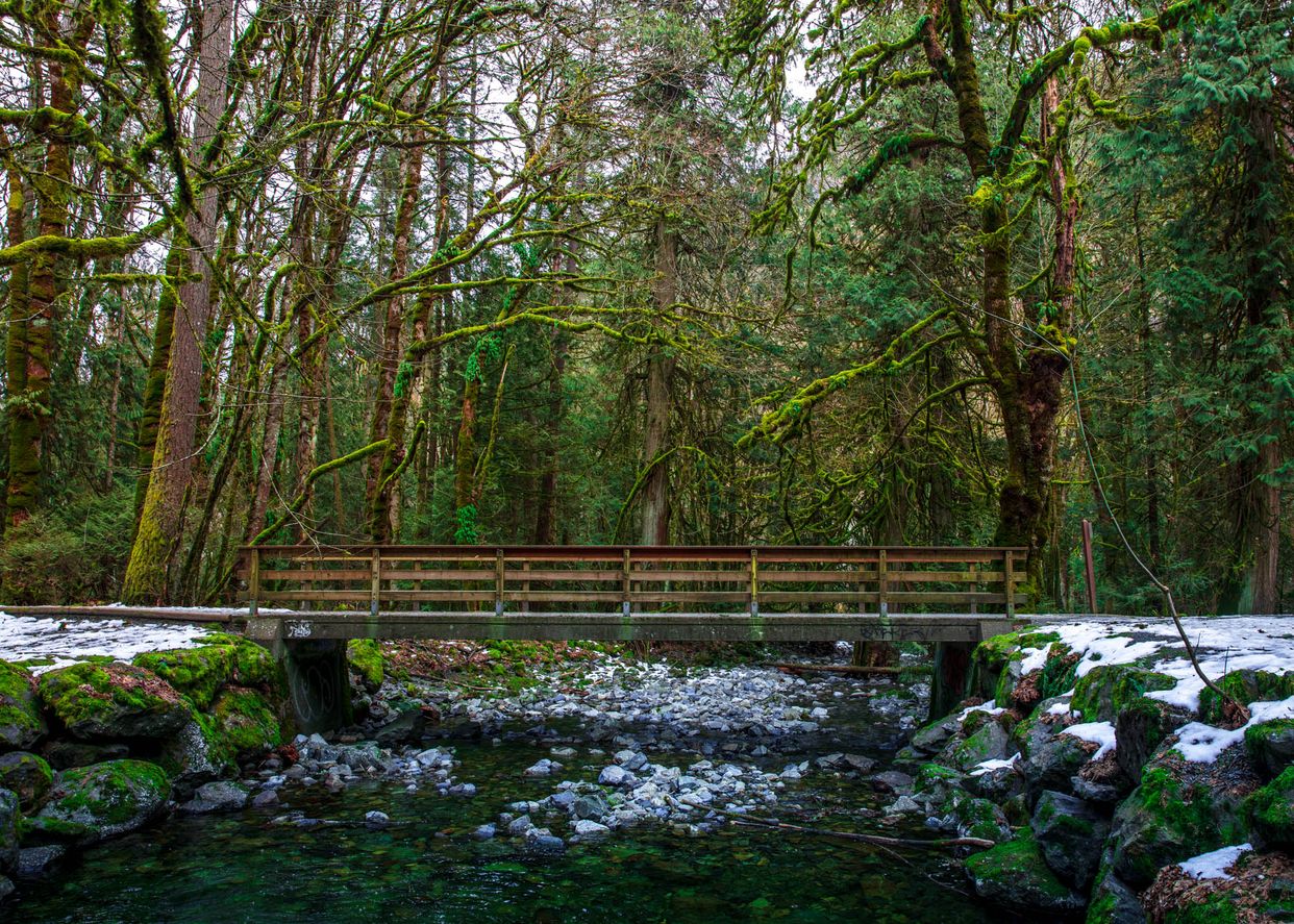 Goldstream Footpath Bridge