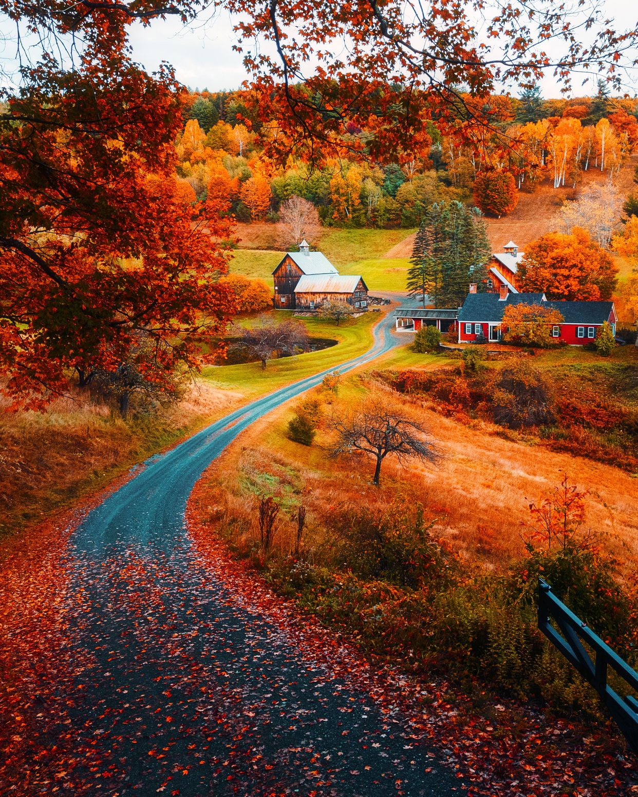 Sleepy Hollow Farm