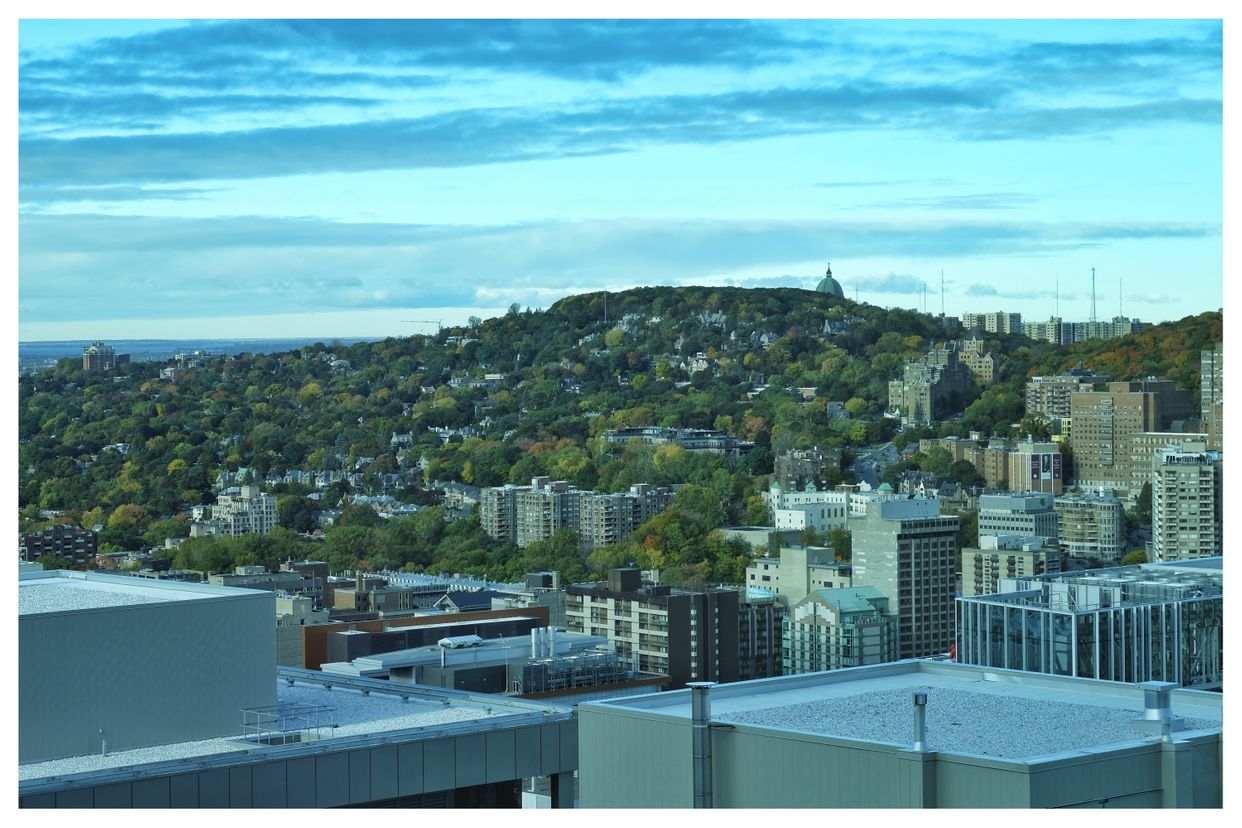 View of Mount Royal