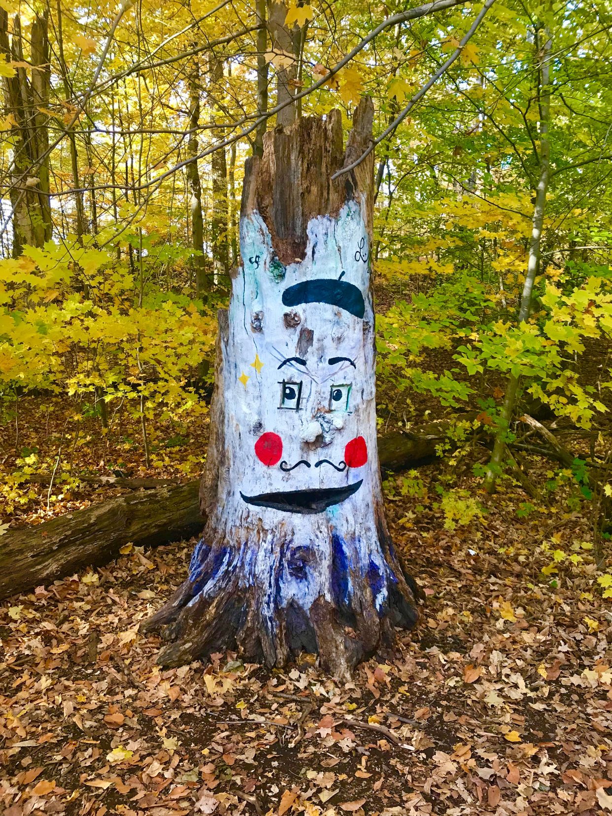 Livingston Park