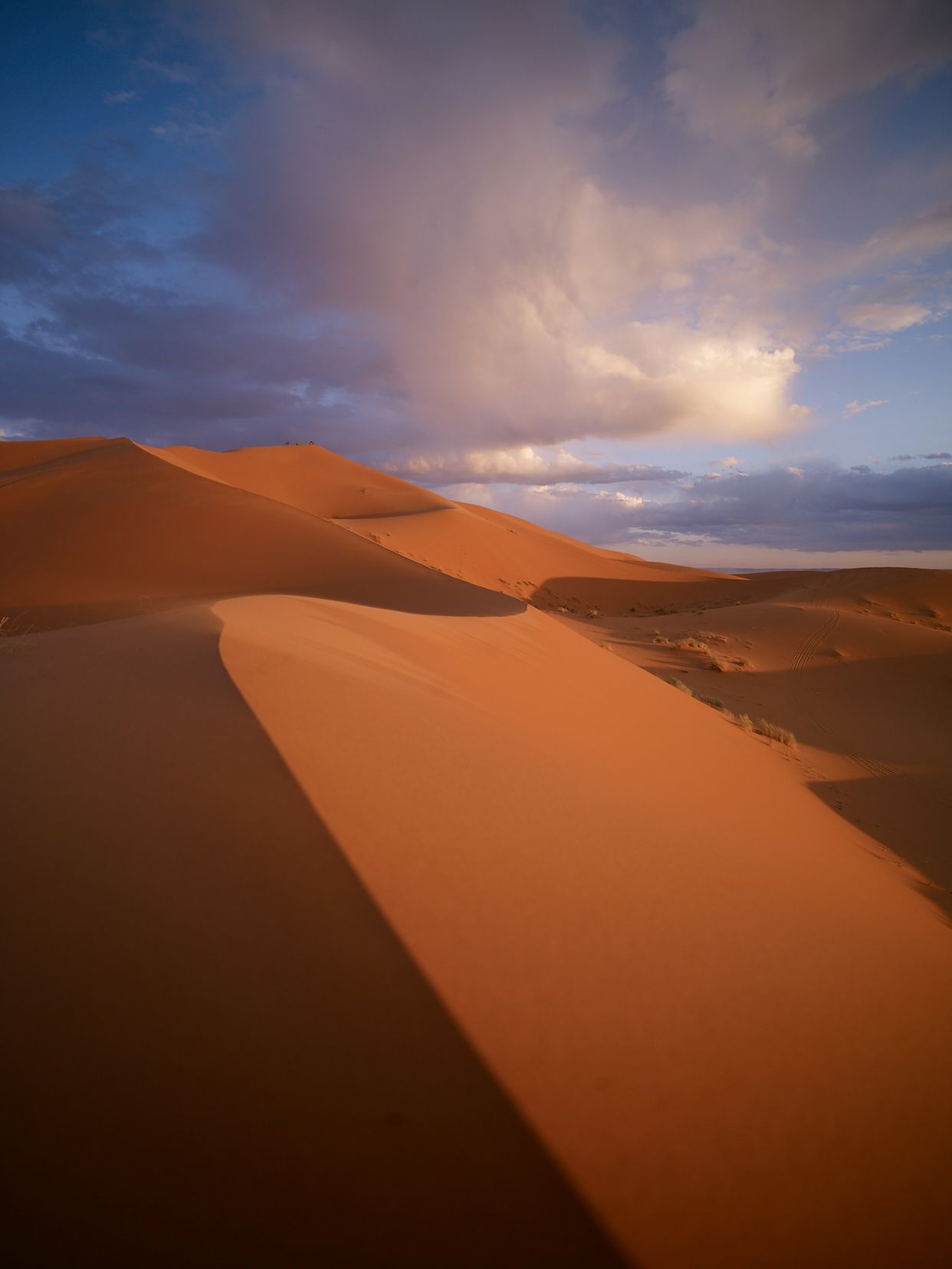Merzouga Desert