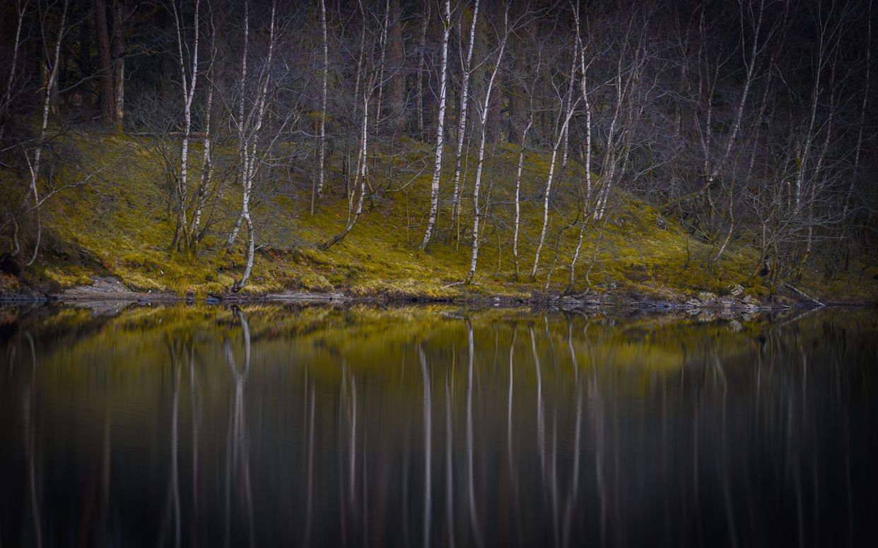 Tarn Hows