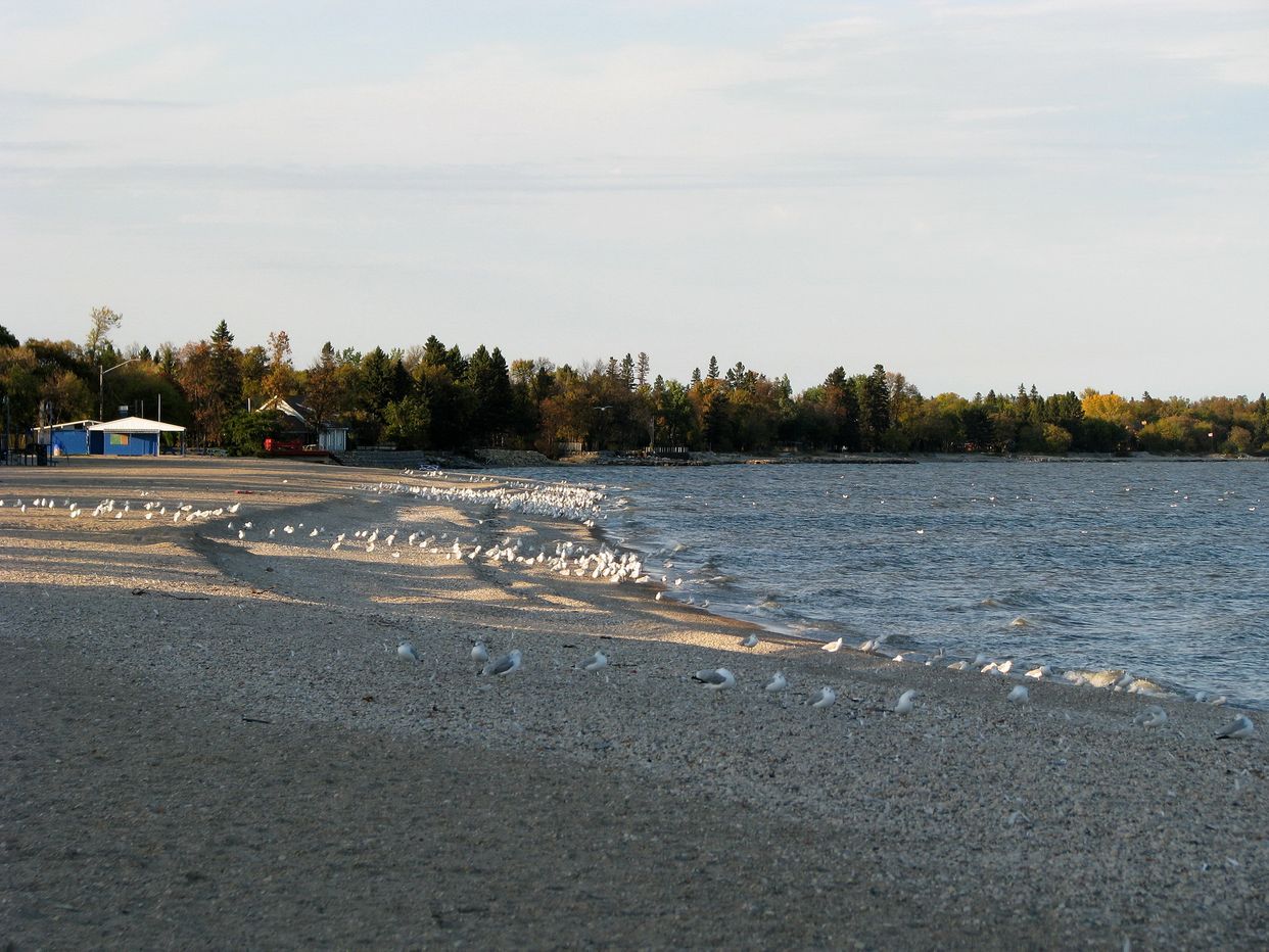 Gimli Beach