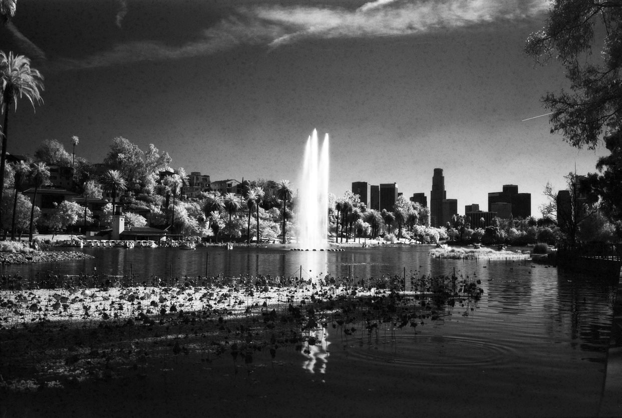 Echo Park Lake