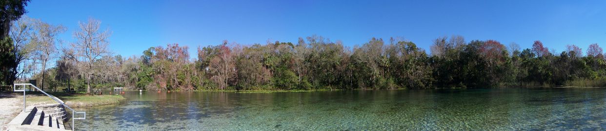 Alexander Springs 
