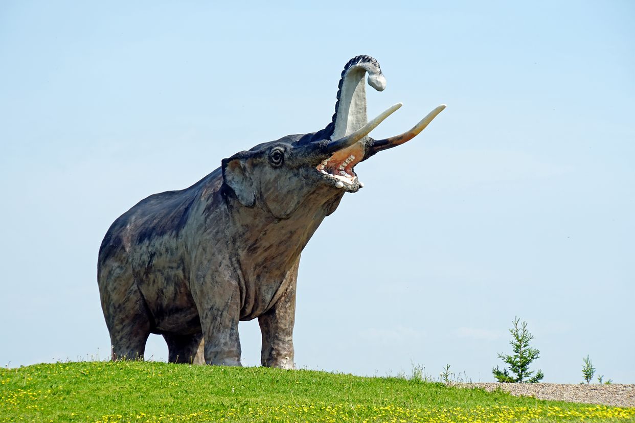 Mastadon