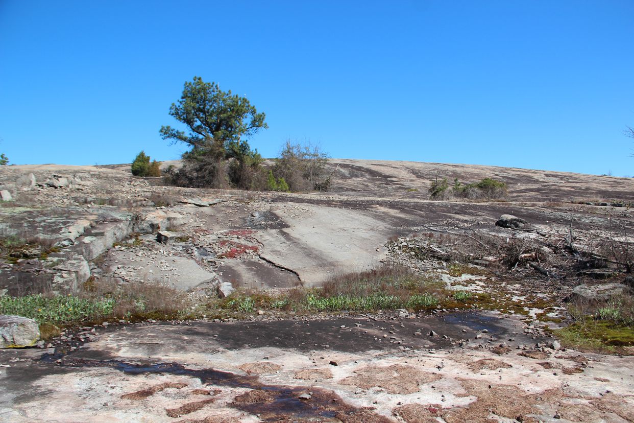 Arabia Mountain