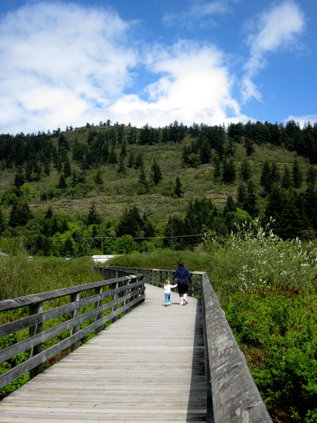 Ed Nixon Trail