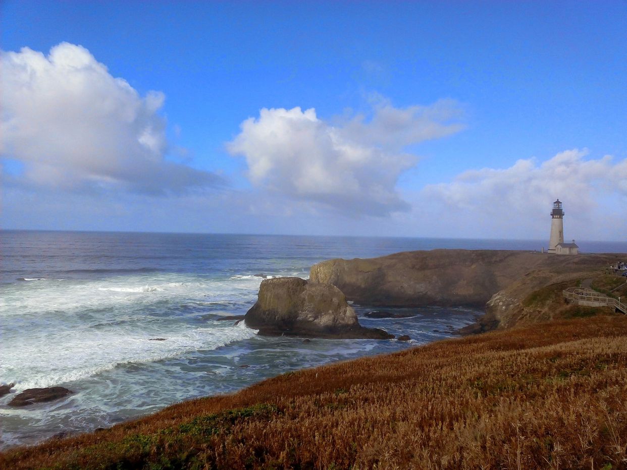 Yaquina Head Marine Garden