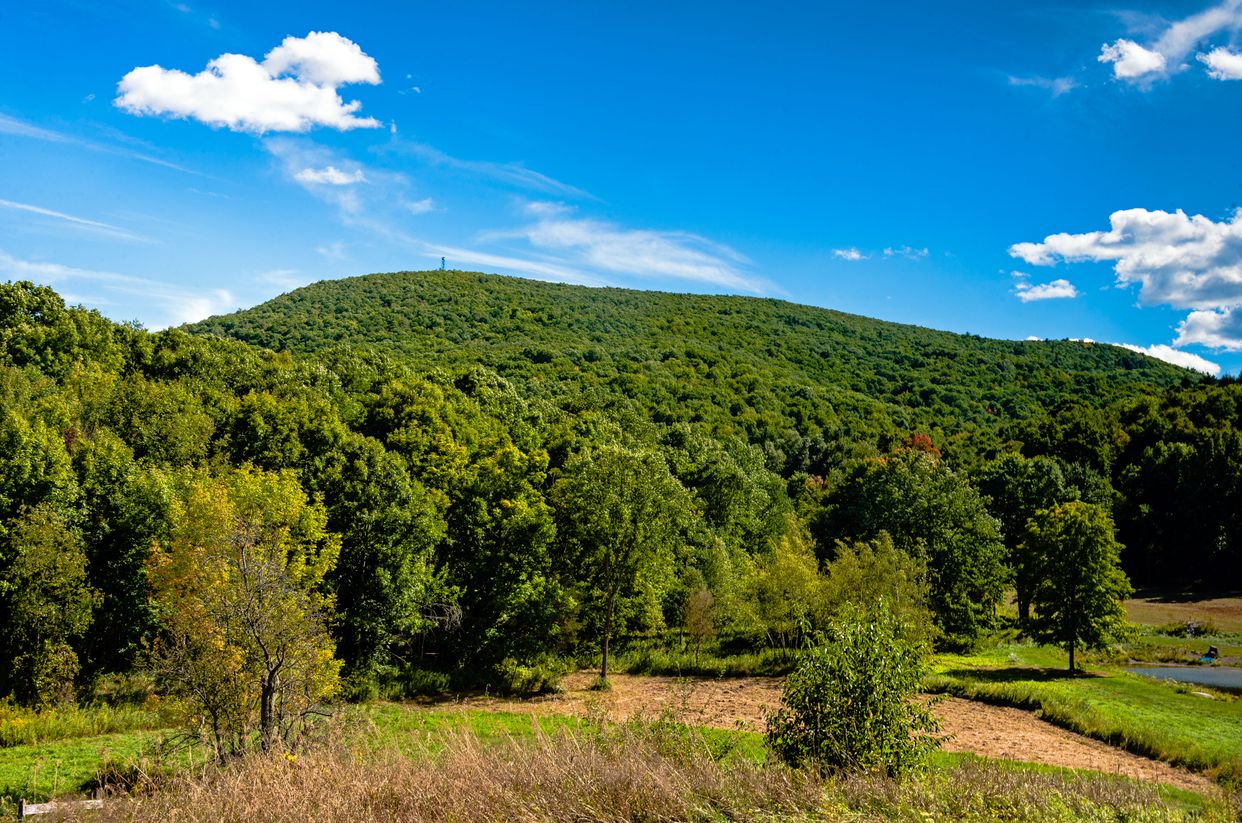 View of Stissing Mountain 