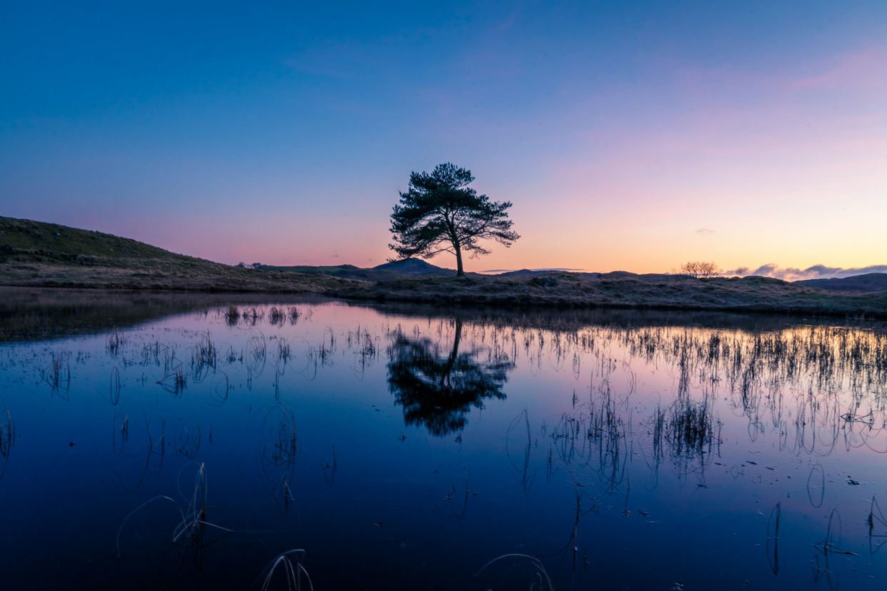 Kelly Hall Tarn