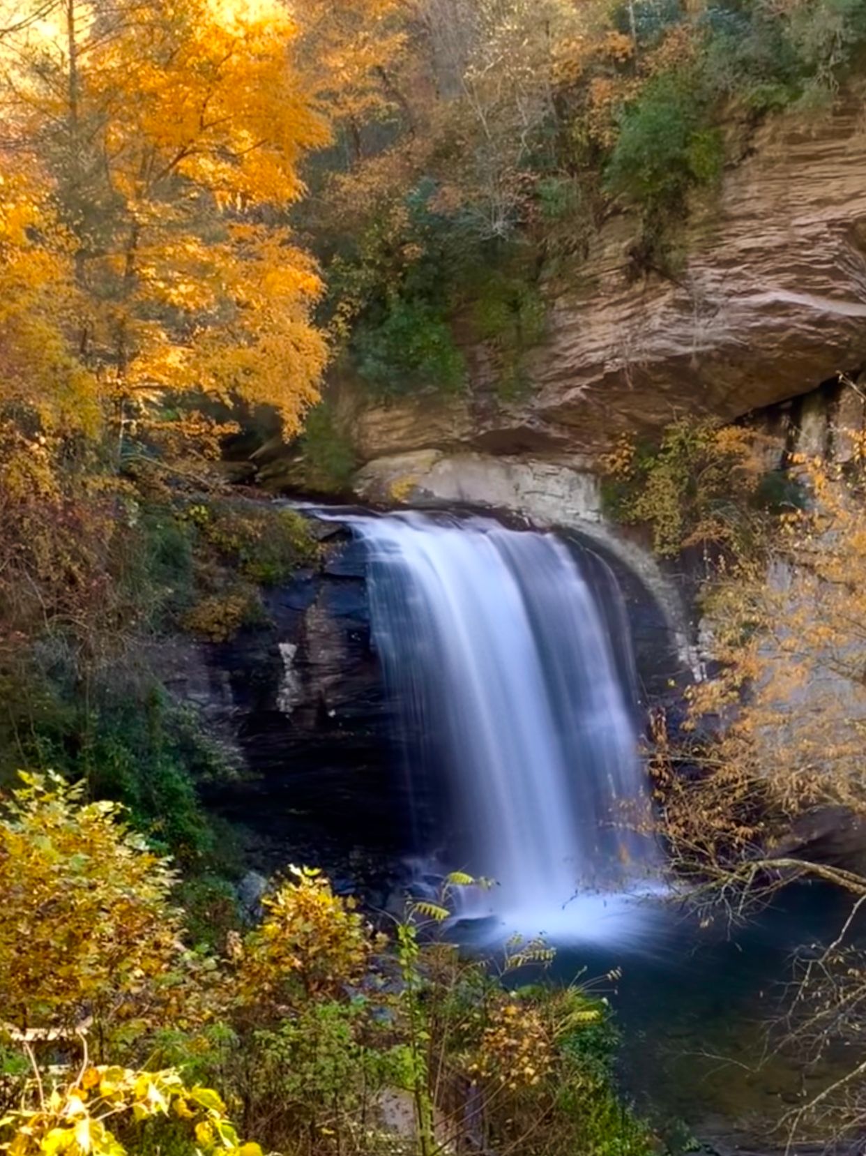 Looking Glass Falls