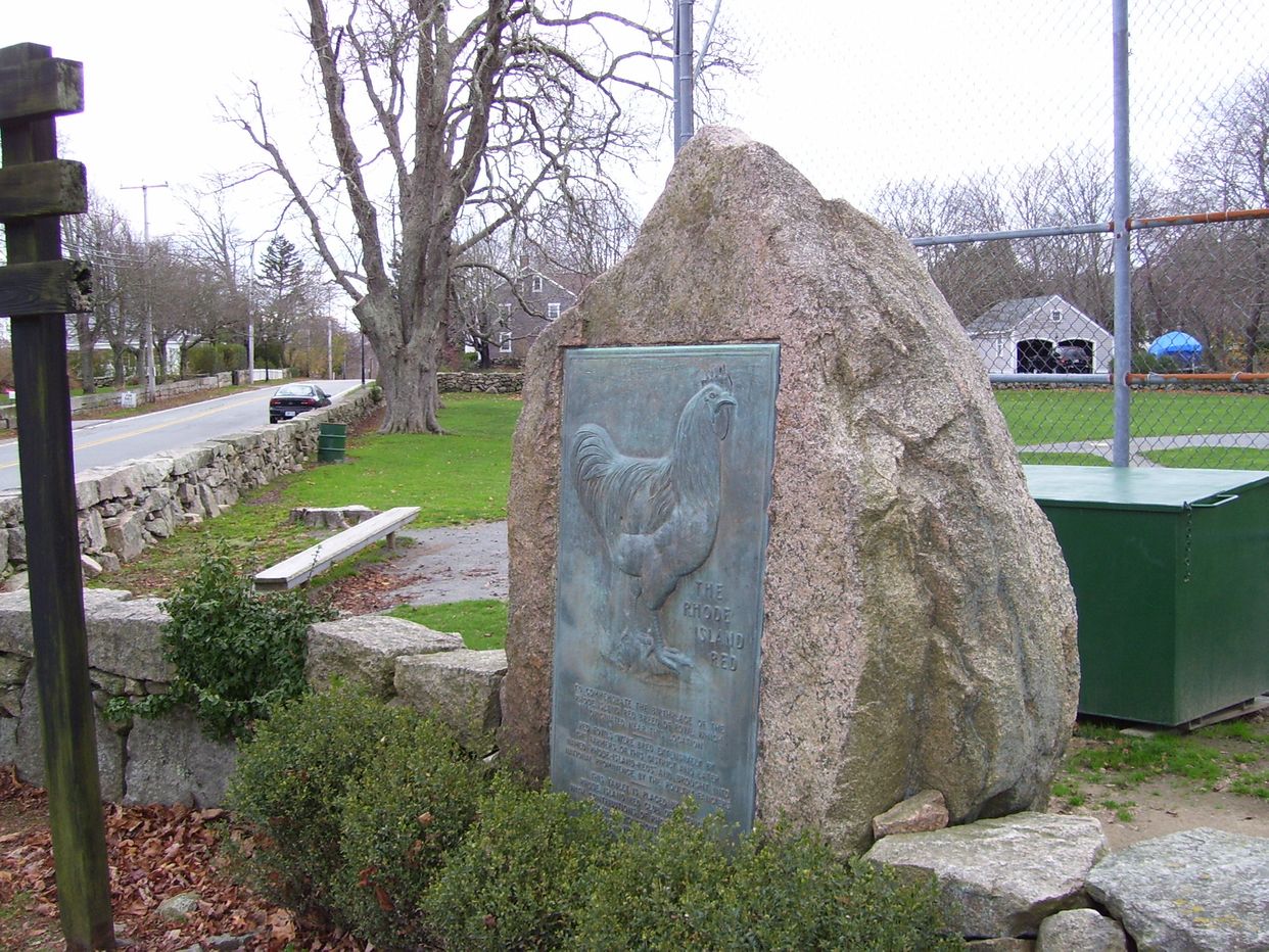 Rhode Island Red Monument