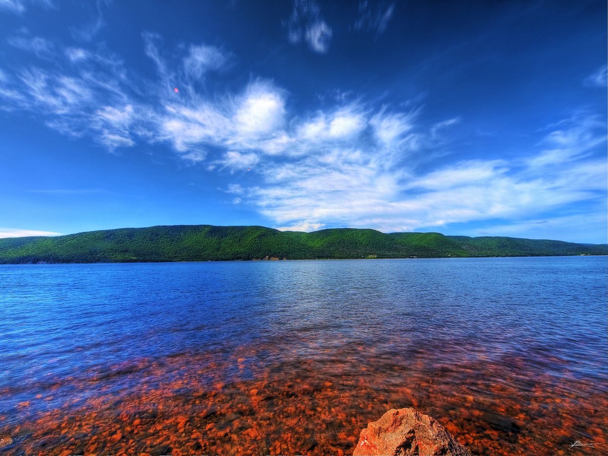 Rusty Waters