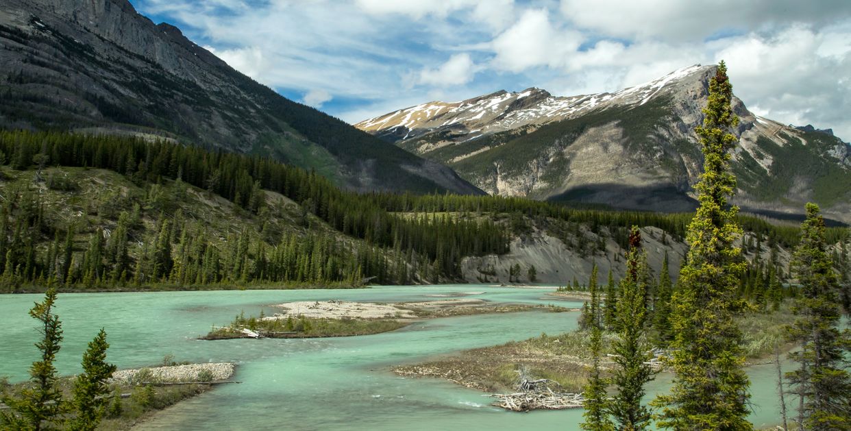 Warden Lake Trail View