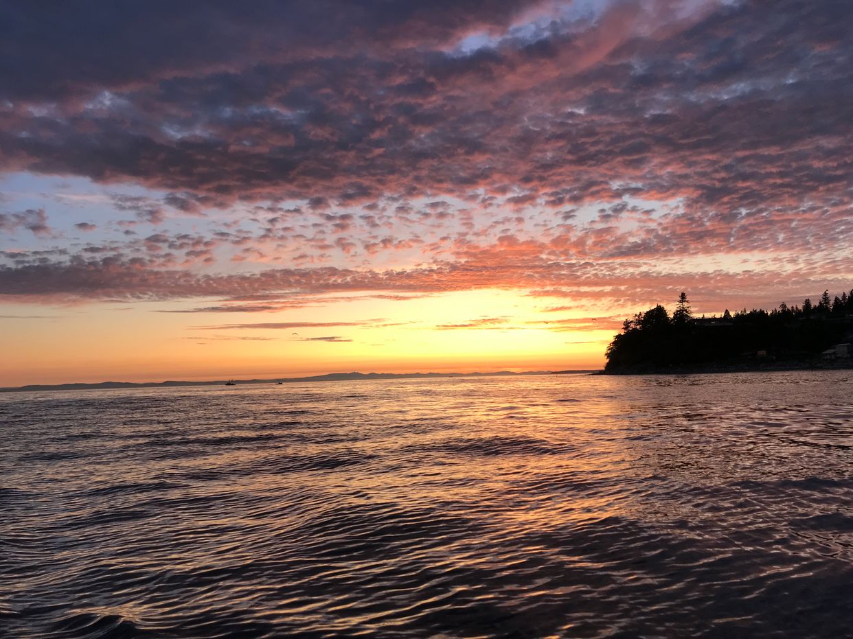 Lighthouse Park