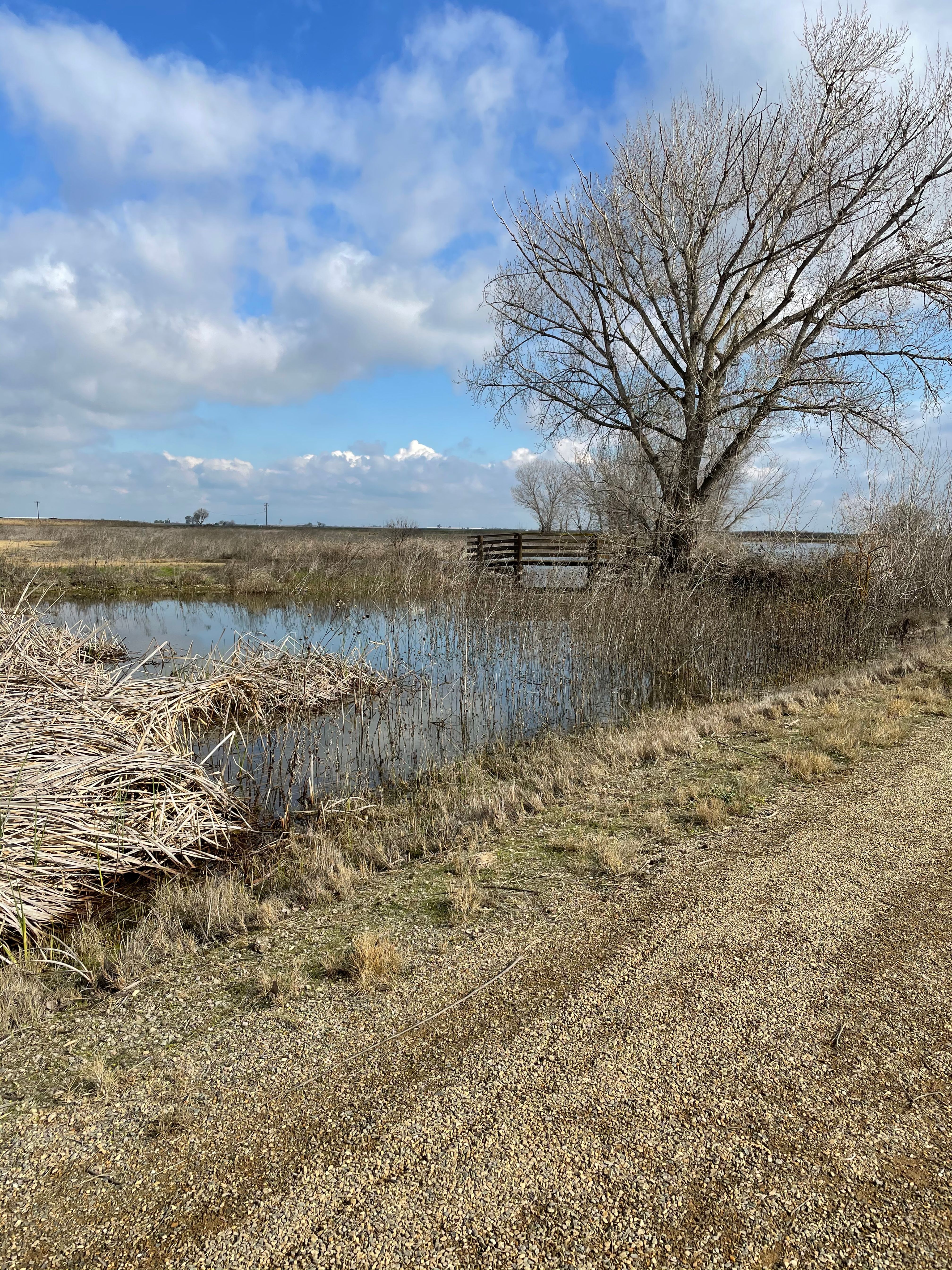 Merced National Wildlife Refuge — Photo by @JerseyGirl.Adventures