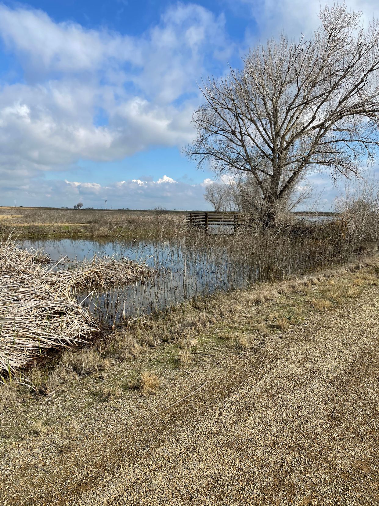 Merced National Wildlife Refuge - Photo by @JerseyGirl.Adventures