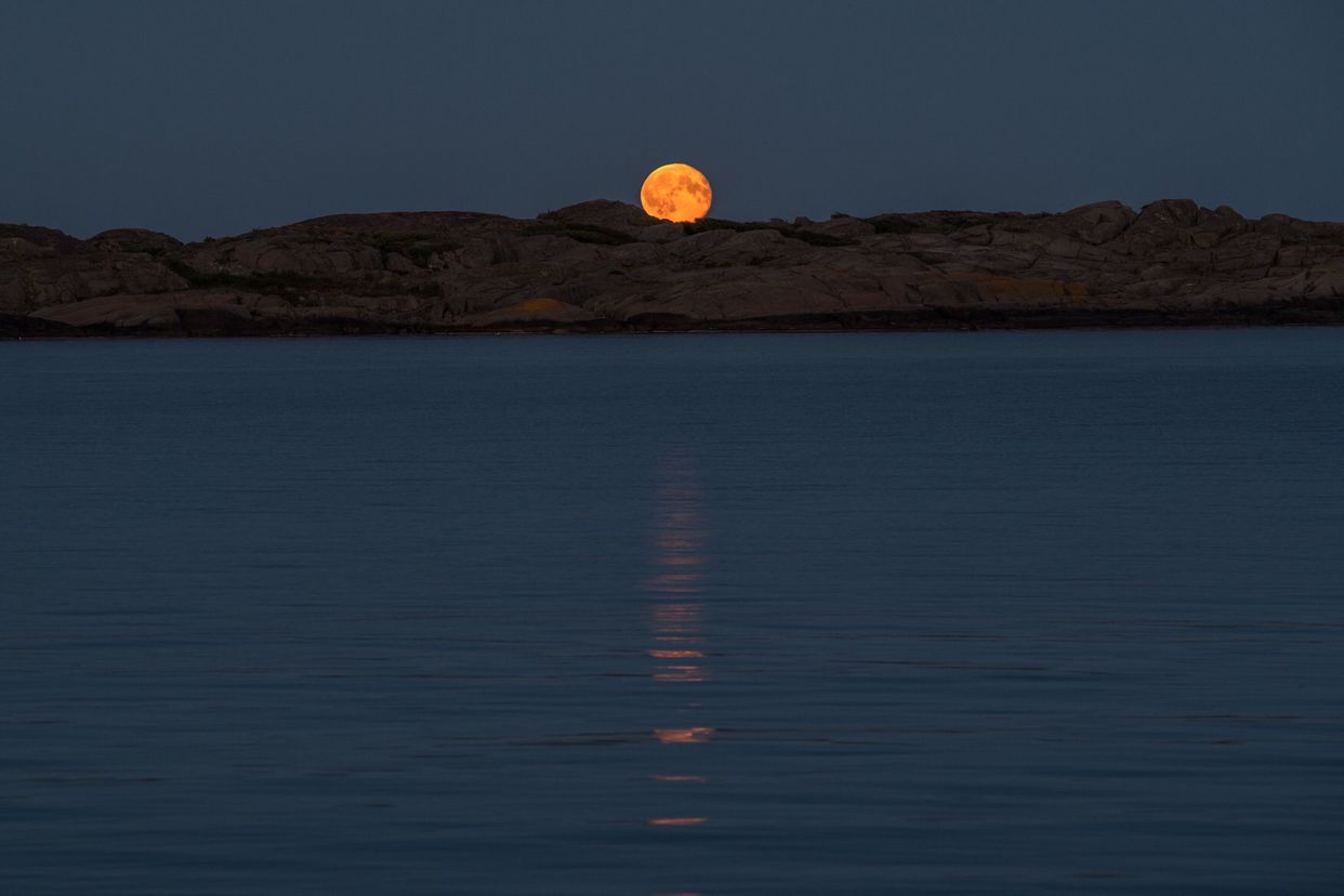 Nevlunghavn - Photo by Hege Benedicte photography