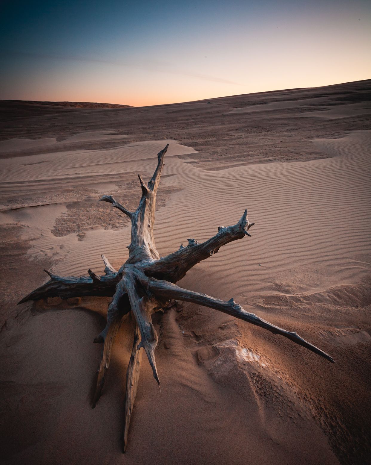 Silver Lake Dunes