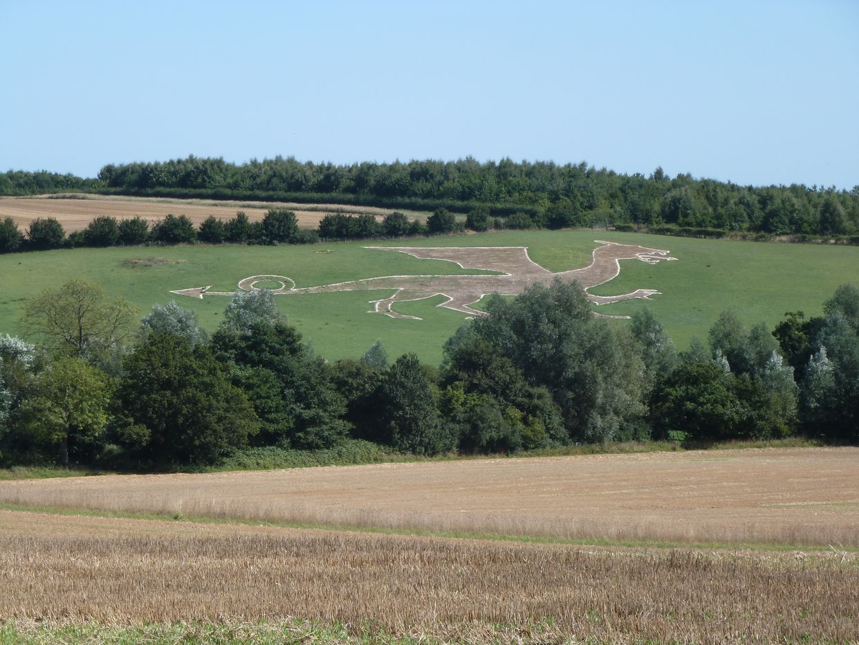 Bures Dragon Viewpoint