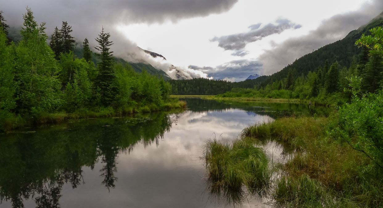 Tern Lake