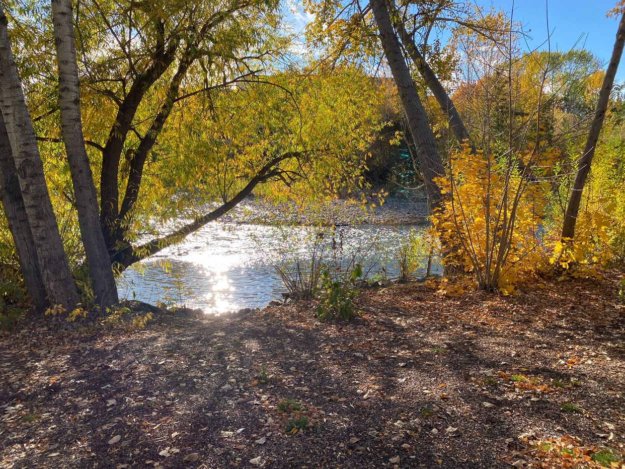 Julia Davis Park