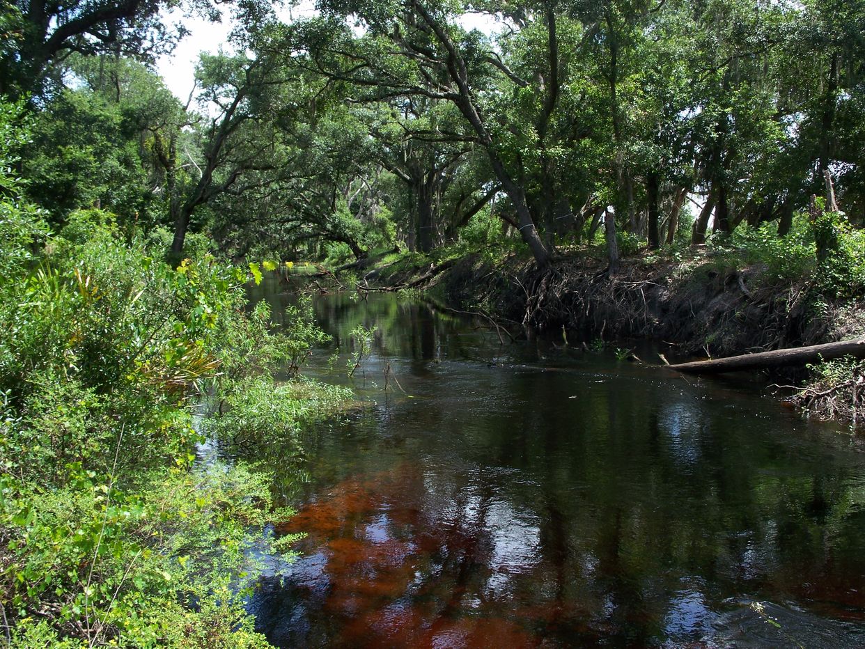 Boggy Creek