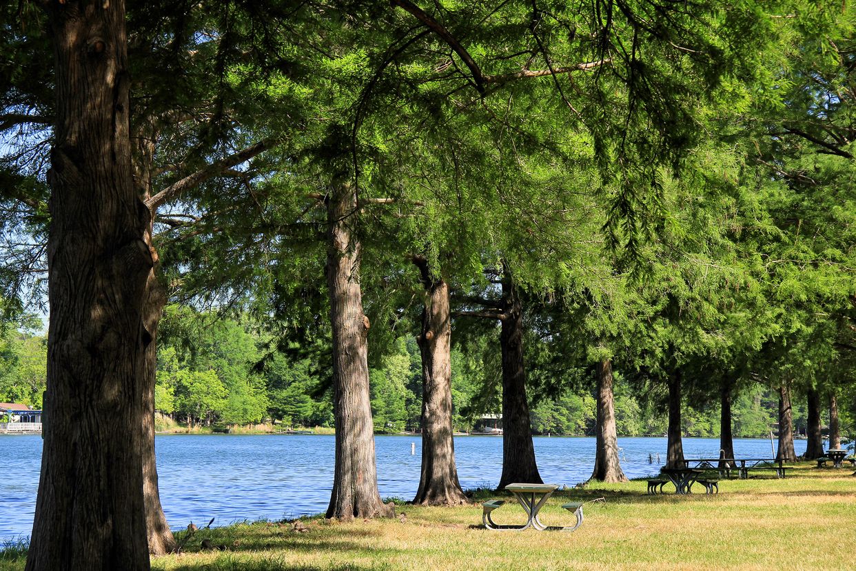 Emma Long Metropolitan Park View
