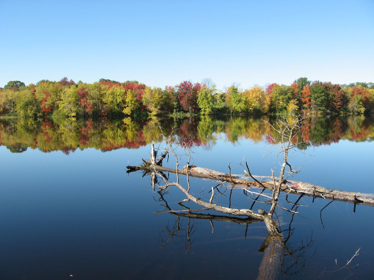 Stillwater River