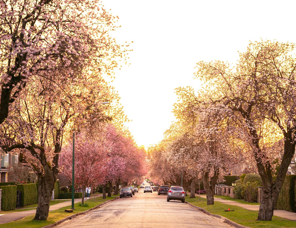 Grant Street View