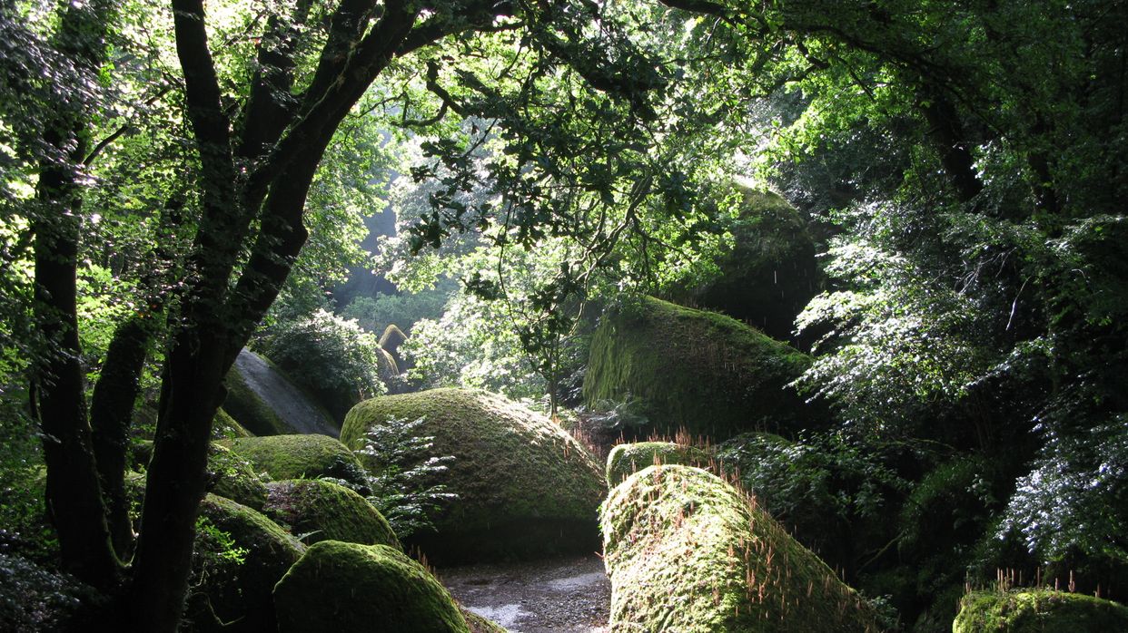 Forêt de Huelgoat
