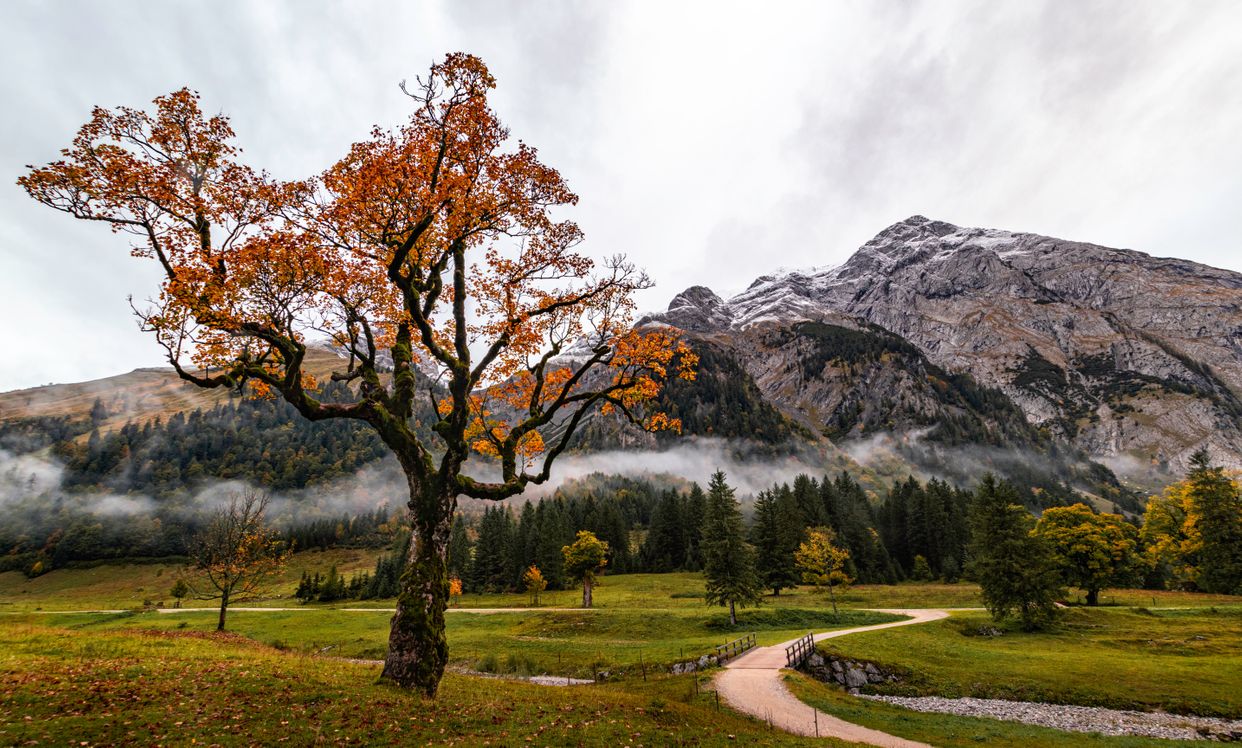 Großer Ahornboden