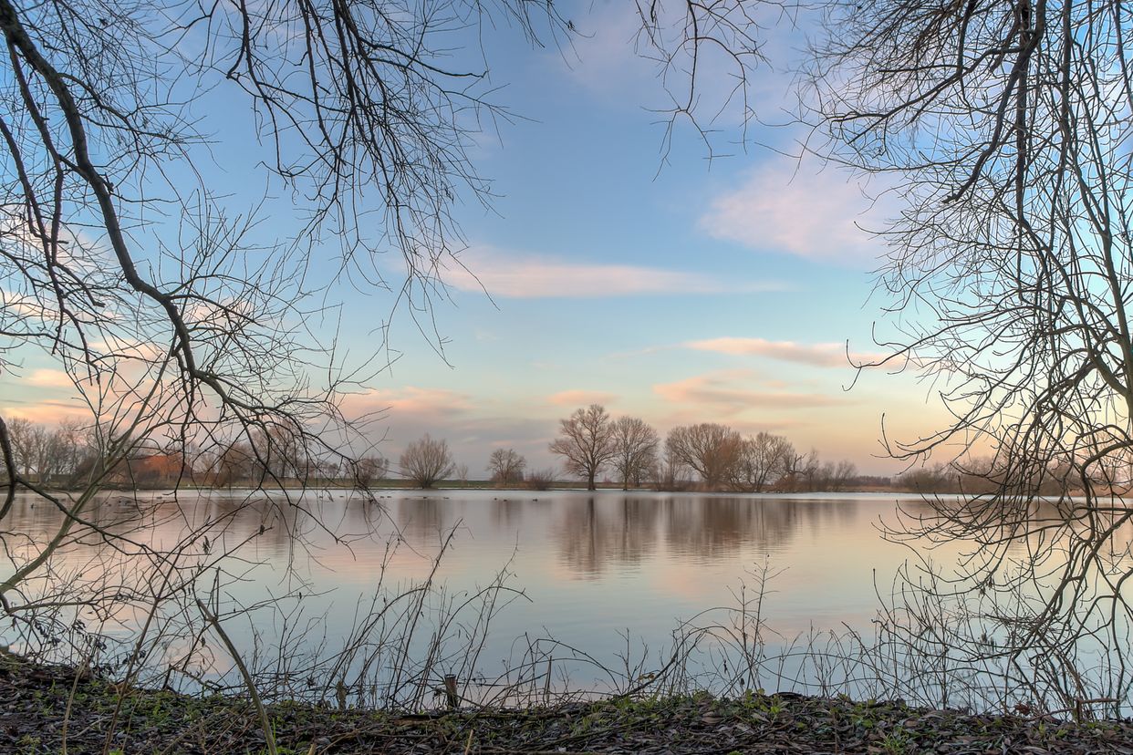 Westerveldse Bos