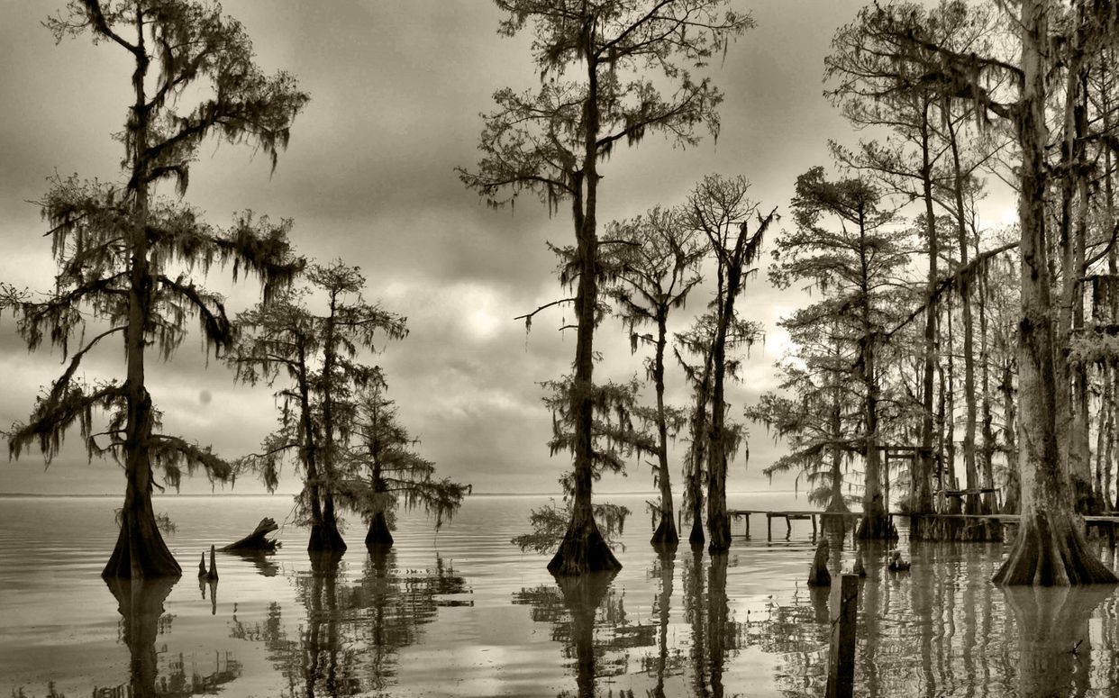 Lake Verret